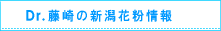 Dr.藤崎の新潟花粉情報